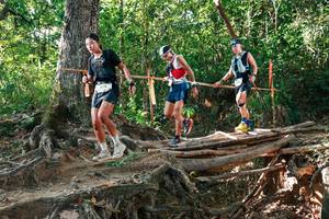 BIB: 
                            <button type="button" onclick="openModal(27552521)" class="btn btn-primary btn-sm float-right btn-popup" data-toggle="modal" data-target=".modal-high-quality">
                        <i class="fas fa-shopping-cart"></i> Add to Cart
                    </button>
                                            <button type="button" onclick="isThisMe(27552521, true)" class="btn btn-success btn-sm float-right btn-popup btn-isme hidden" data-toggle="tooltip" data-placement="bottom" title="นี่คือรูปของคุณใช่ไหม คลิกที่นี่เพื่อเอาเข้าอัลบั้ม">
                        <i class="fas fa-plus"></i> Add to album
                    </button>
                    <button type="button" onclick="isThisMe(27552521, false)" class="btn btn-warning btn-sm float-right btn-popup btn-isnotme hidden">
                        <i class="fas fa-ban"></i> Remove from album
                    </button>